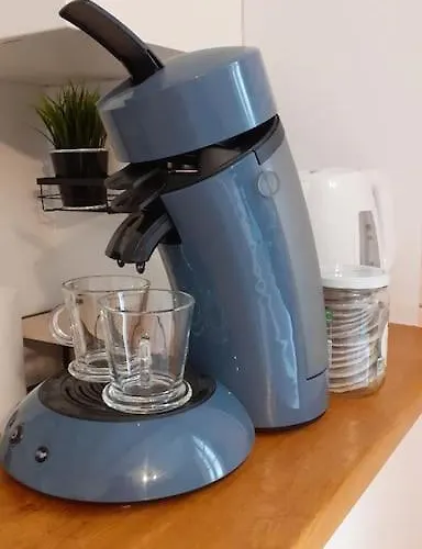 公寓 Centre Avec Garage *