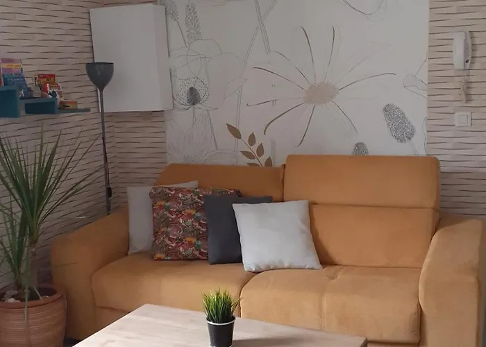 公寓 Centre Avec Garage *